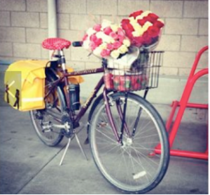 bike to shop day